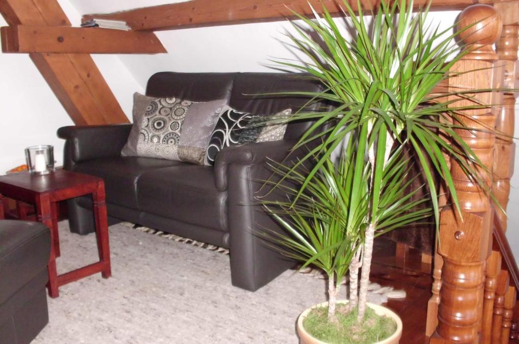 Ferienwohnung Haumannshof Xanten Rom bilde