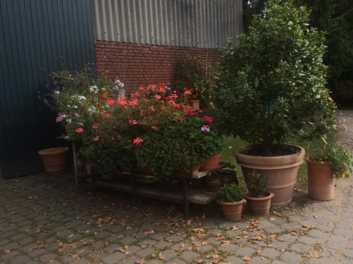 Ferienwohnung Haumannshof Xanten Eksteriør bilde